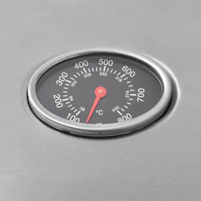 VidaXL Gasbarbecue 4+1 kookzone zwart en zilver