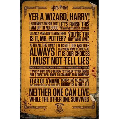 Poster Harry Potter - Quotes 61x91,5cm