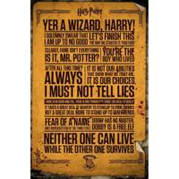 Poster Harry Potter - Quotes 61x91,5cm - thumbnail