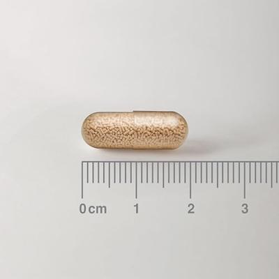 Lamberts Saccharomyces cerevisiae Boulardii Capsules