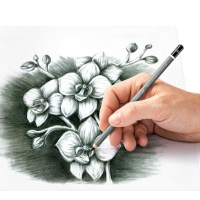 Staedtler houtskool potlood Mars Lumograph, zacht