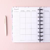 Crate Paper • day-to-day dashboard planner pink vines - thumbnail