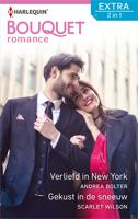 Verliefd in New York ; Gekust in de sneeuw - Andrea Bolter, Scarlet Wilson - eBook (9789402538557) - thumbnail