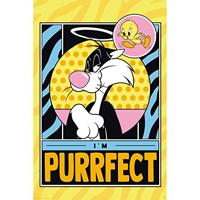 Poster Looney Tunes - Tweety and Sylveste 61x91,5cm - thumbnail