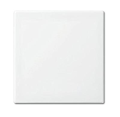 Busch Jaeger WIT wip voor wisselschakelaar - 4694040 Busch Jaeger WIT wip voor wisselschakelaar - 4694040