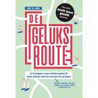 De geluksroute - Anne de Jong - Paperback (9789492493958) - thumbnail