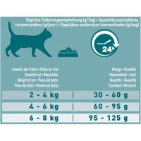 PURINA ONE Bifensis droogvoer voor volwassen katten met zalm en volkoren granen, zak van 9,75 kg - thumbnail