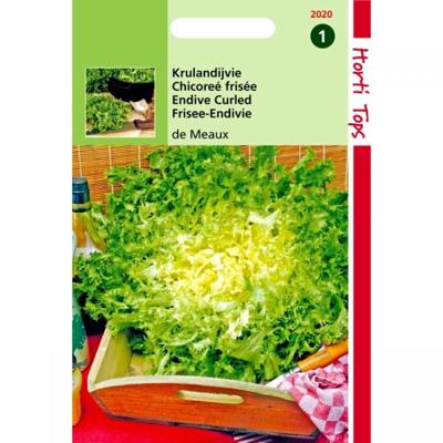 Zaden Krulandijvie De Meaux Hortitops - Hortitops