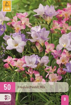Freesia pastel mix 50 knollen