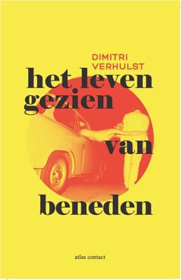 Het leven gezien van beneden - Dimitri Verhulst - eBook (9789025449155)