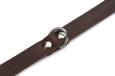 Lederen honden halsband bruin - 62 cm x 25 mm