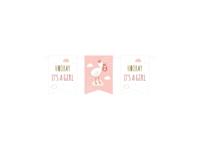 Paperdreams Vlag banner - newborn baby girl - thumbnail