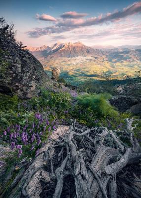 Komar Stefan Hefele; Komar Wanderlust Fotobehang Flowering Tales - SHX4-130