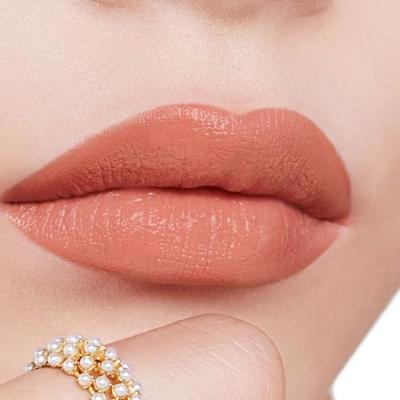 Rouge Dior Lipstick Rouge Dior Lipstick