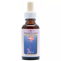 Animal Essences Jellyfish (kwal) 30 Milliliter - thumbnail