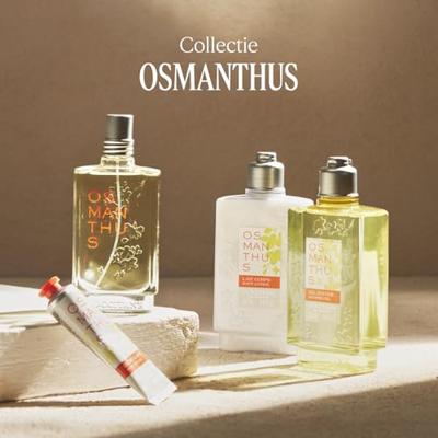 L&apos;Occitane Osmanthus Body Lotion 250 ml Bodylotion