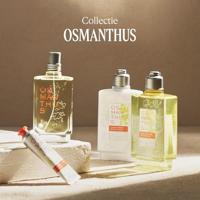 L&apos;Occitane Osmanthus Body Lotion 250 ml Bodylotion - thumbnail