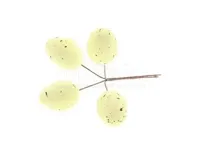 Paasdecoratie Eieren op stok Geel - thumbnail