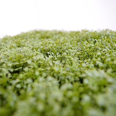 3D Honey Kunstmos mat 25cm - UV bestendig