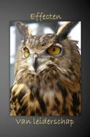 Effecten van leiderschap - Linda Algra - ebook - thumbnail