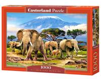 Castorland legpuzzel Kilimanjaro Morning 1000 stukjes - thumbnail