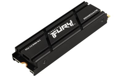 Kingston Technology 4000G RENEGADE PCIe 4.0 NVMe SSD MET HEATSINK