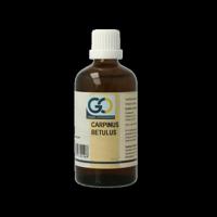 Carpinus betulus bio 100 Milliliter - thumbnail