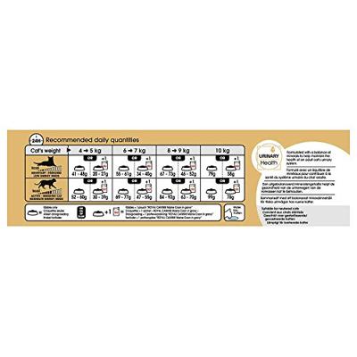 Royal Canin Adult Maine Coon kattenvoer 4 kg