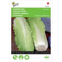 Chinese Kool Granaat - thumbnail