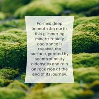 WoodWick medium candle limited edition melanite mist gunmetal - thumbnail