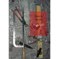 Droomhuis? - Bianca Gerrits - Paperback (9789402161540) - thumbnail