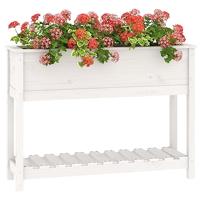 VidaXL Plantenbak met schap 111,5x34,5x81 cm massief grenenhout wit - thumbnail