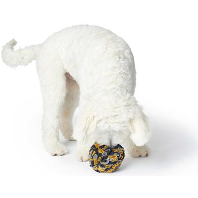 HUNTER Hondenspeeltje Snuffelbal, blauw