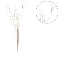 Droogtak Pampas naturel 150 cm | 10 stuks - thumbnail