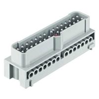 HARTING Stekkerinzetstuk 19410282601 Inhoud: 1 stuk(s) - thumbnail