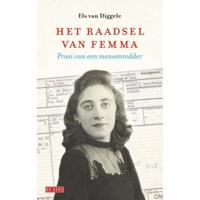 Het raadsel van Femma - Els van Diggele - Paperback (9789044541243) - thumbnail