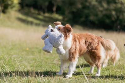Knuffel voor honden Trixie Elroy Polyester Pluche Beer 42 cm - thumbnail