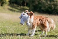 Trixie be eco beer elroy gerecycled pluche - thumbnail