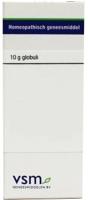 VSM Manganum aceticum D30 10 Gram - thumbnail