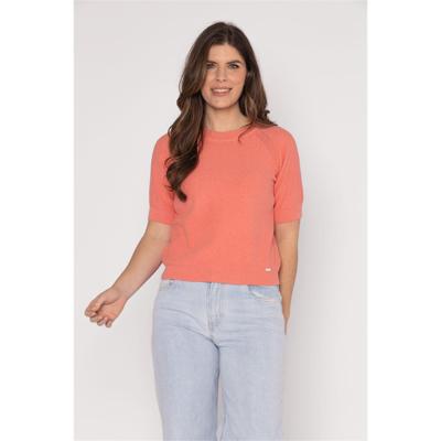 Roberto Sarto Trui 611144-R920