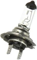 HERTH+BUSS Hoofdlamp "longlife h7-lamp longlife herth & buss - thumbnail
