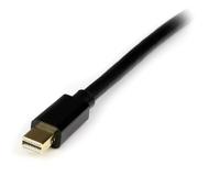 DisplayPort Mini naar DisplayPort Kabel Startech MDP2DPMM4M Zwart 4 m - thumbnail