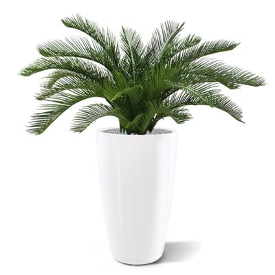 Cycas deluxe kunstpalm 60cm Cycas deluxe kunstpalm 60cm