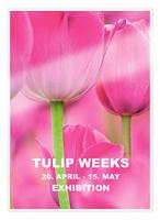 Leitz lamineerhoes Ilam ft A3, 250 micron (2 x 125 micron), pak van 25 stuks - thumbnail