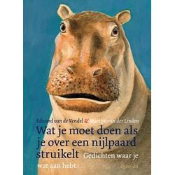 Wat je moet doen als je over een nijlpaard struikelt
