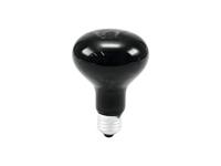 Omnilux R80 230V UV-lamp E27 75 W - thumbnail