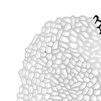 OFFICINA - Opus - Fruitschaal - thumbnail