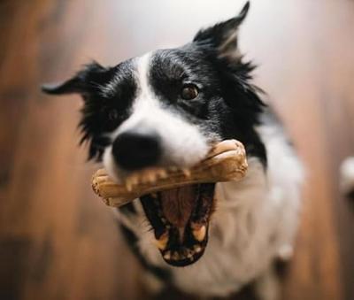 SYTA MICHA For picky dogs Rabbit with banana - hondenkluif - 13,5 cm