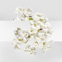 Hermès - Hermes Un Jardin Sur La Lagune Eau de toilette Spray 100 ml - thumbnail