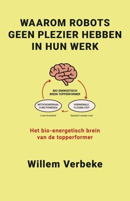 Waarom robots geen plezier hebben in hun werk - Willem Verbeke - ebook